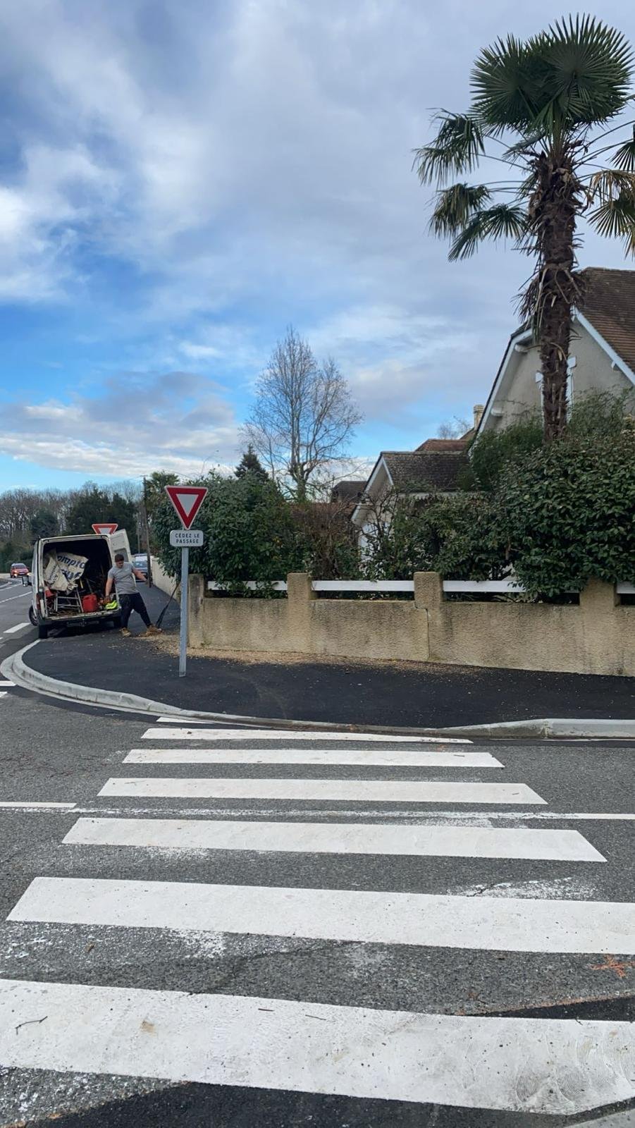 Travaux d’abattage et d’élagage d’arbres dans les Pyrénées-Atlantiques (64) - Photo 4