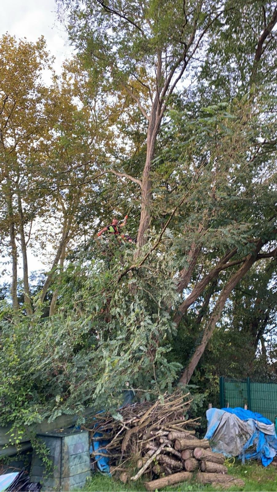 Travaux d’abattage et d’élagage d’arbres dans les Pyrénées-Atlantiques (64) - Photo 18