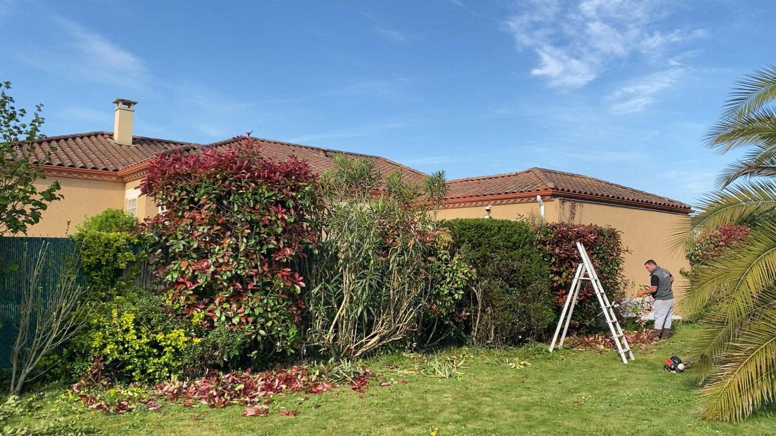 Entretien de jardin et espaces verts dans les Pyrénées-Atlantiques (64) - Photo 7