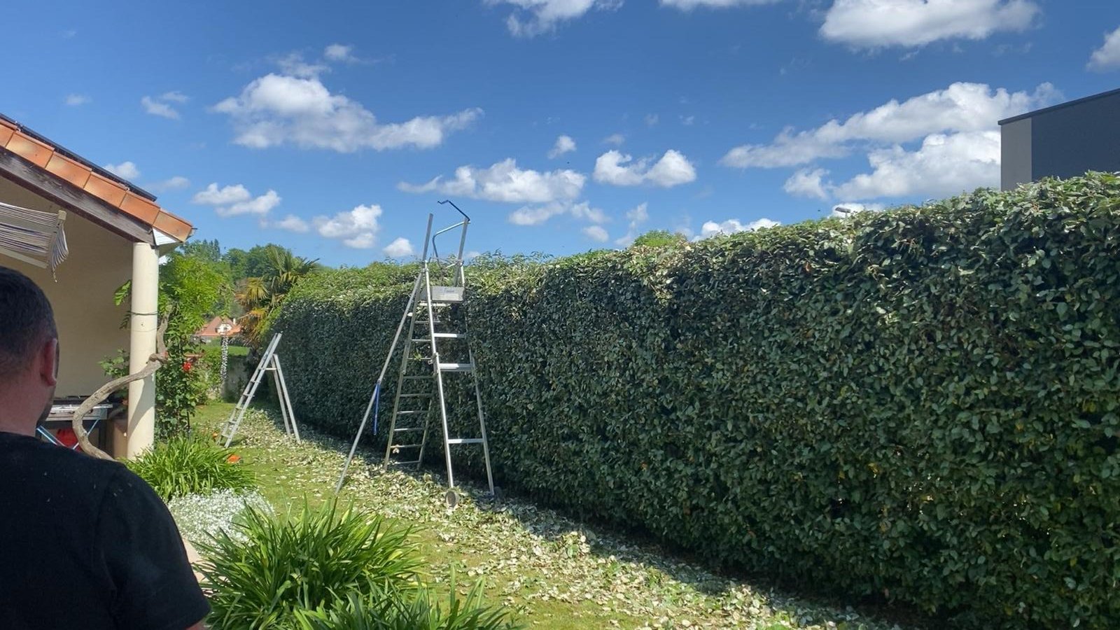 Entretien de jardin et espaces verts dans les Pyrénées-Atlantiques (64) - Photo 4