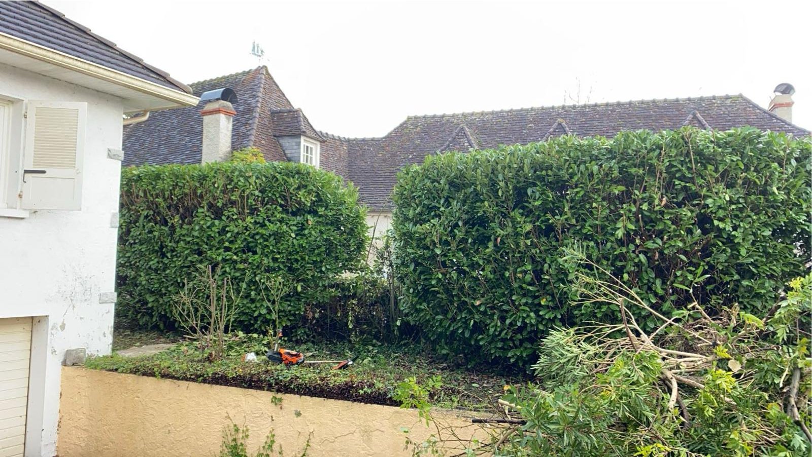 Entretien de jardin et espaces verts dans les Pyrénées-Atlantiques (64) - Photo 8