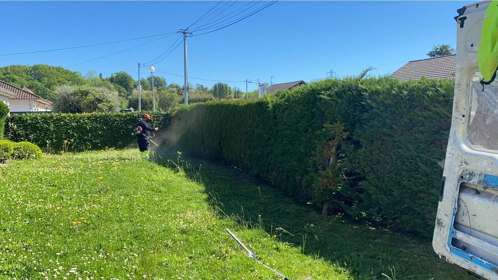 Taille de haies dans les Pyrénées-Atlantiques