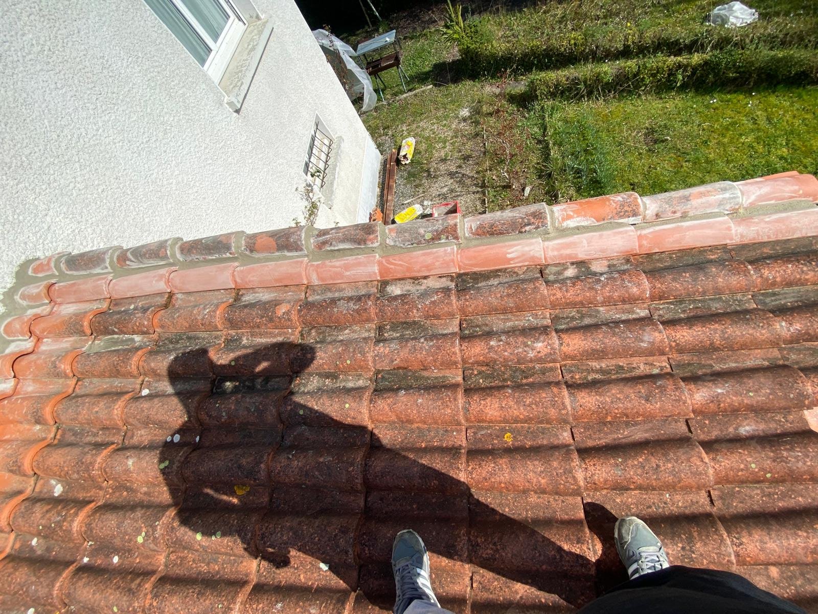 Nettoyage et entretien de toiture dans les Pyrénées-Atlantiques (64) - Photo 17