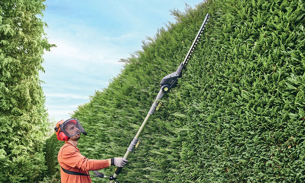 Taille de haies et d’arbres fruitiers