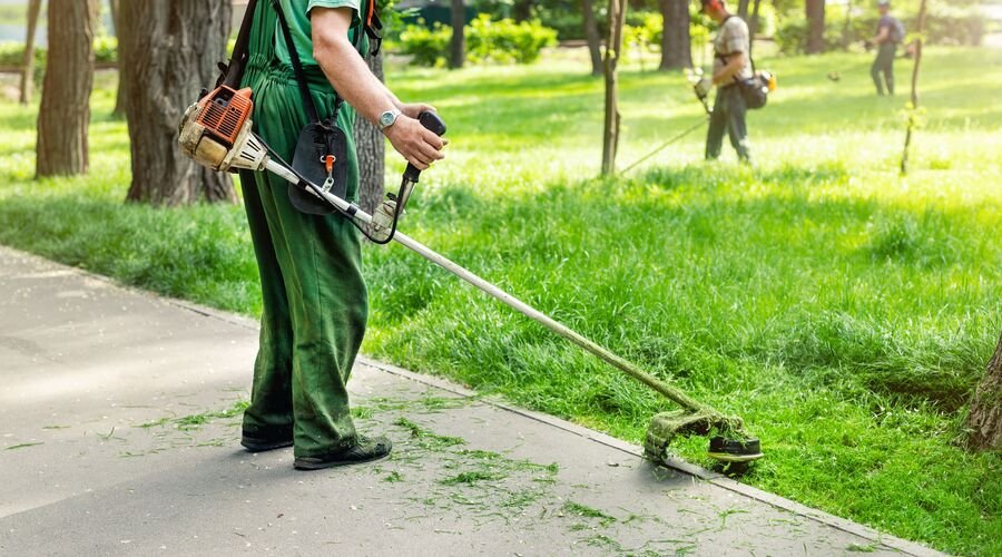 Entretien de jardin et espaces verts
